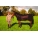 Magnetic Horse / Pony Funnell Mesh Rug And Detachable Neck Cover