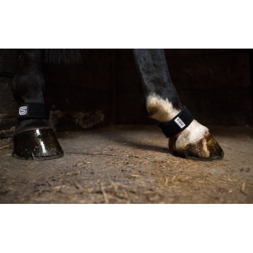 Equ StreamZ Resonance Therapy Horse Fetlock Bands Pair