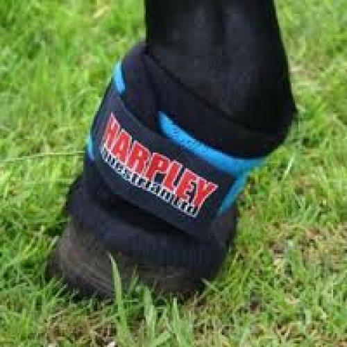Harpley Horse Ankle Wraps Pair