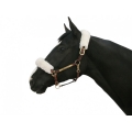 Back On Track Headcollar Cover