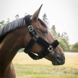 Back On Track Audrey Halter / Headcollar