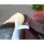 Back on Track Horse N.O 2 Jumping / GP Saddle Pad