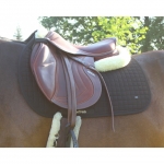 Back on Track Horse N.O 2 Jumping / GP Saddle Pad