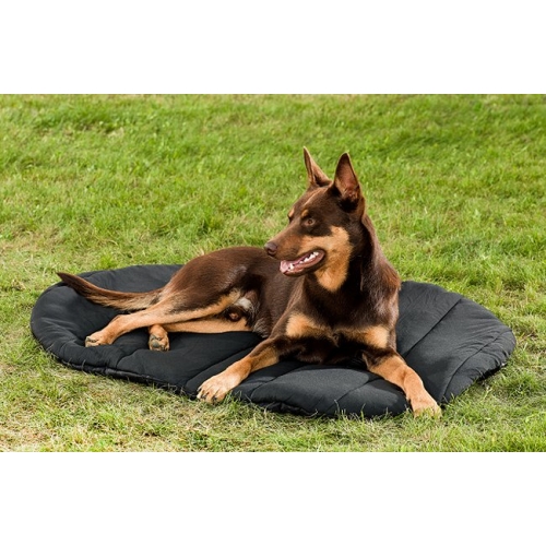 back on track dog bed