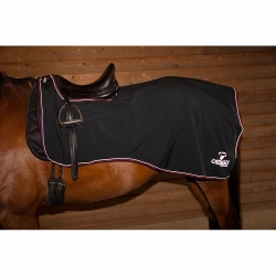 Catago Waterproof Exercise / Rain Sheet