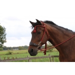 Bodanza Hackamore Rope Bridle and Reins