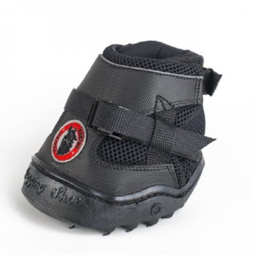 Equine Fusion Jogging Shoe Review Equine Fusion Jogging Shoe Review