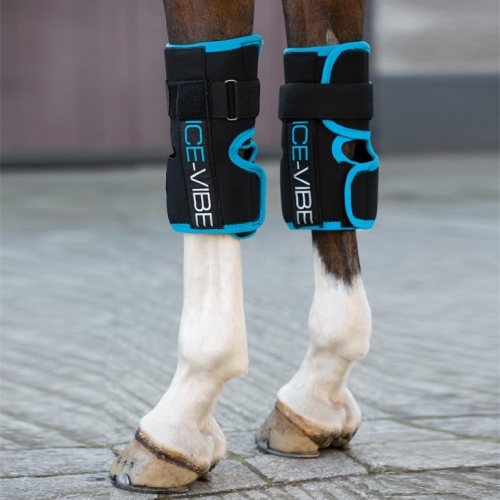 equine knee boots