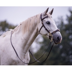 Imperial Baroque Hackamore Bitless Bridle & Reins