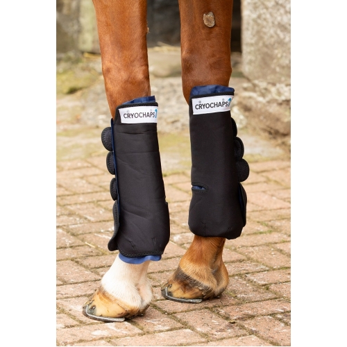 ice wraps for horses