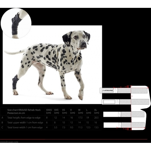 kruuse dog brace