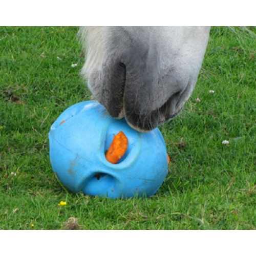 horse carrot ball
