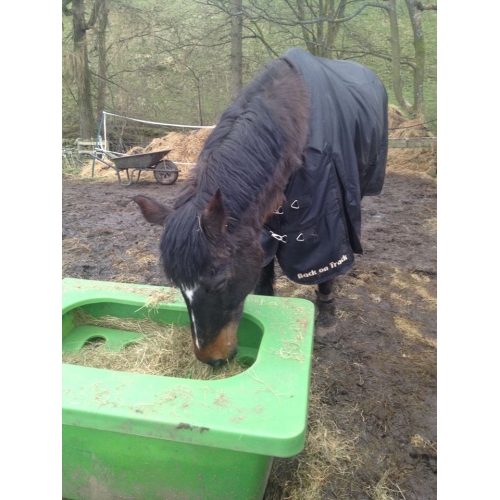 for Shetland & small equine Parallax Small Holed Hay Play slow forage feeder 