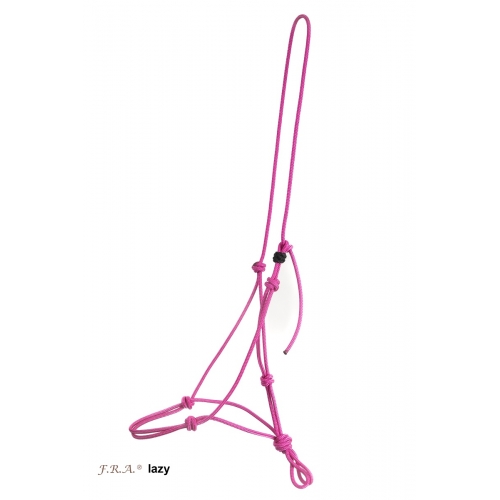 Lazy Training Rope Halter
