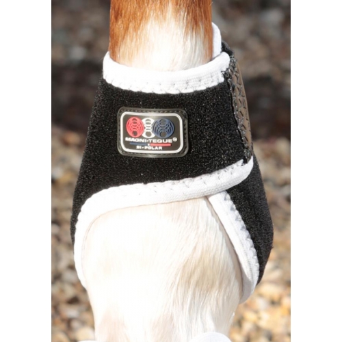 Premier Equine Magnetic Horse Fetlock - Pair