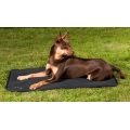 Back On Track Mattress Allround Dog Bed
