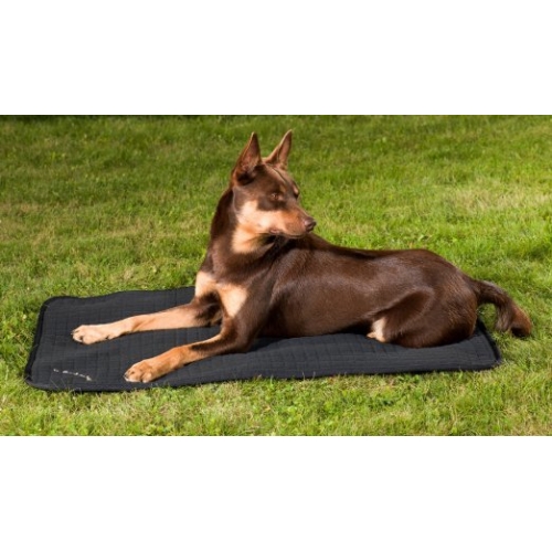 back on track dog bed