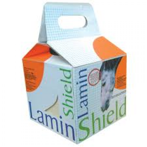 Rockies LaminShield Horse Salt Lick 5kg
